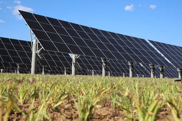 Solar Panel Ground Mounting Systems and Their Installation